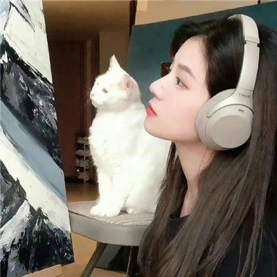 追爱大布局